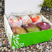 Set 17-Magic Mango - Box of mango fruit (air mango+mango green)